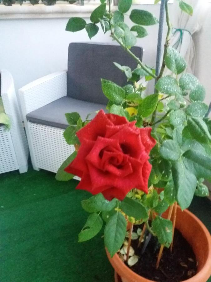 Che Bella Vita! Monopoli Kültér fotó
